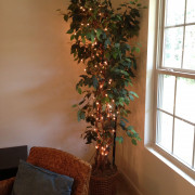 Украсить гирляндой можно не только праздничную елку, но и комнатные растения 