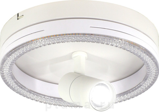 20044LED 20044SMA/02LED WH