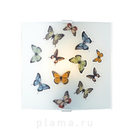 Butterfly 105435
