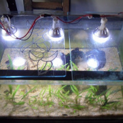 аквариумные светильники